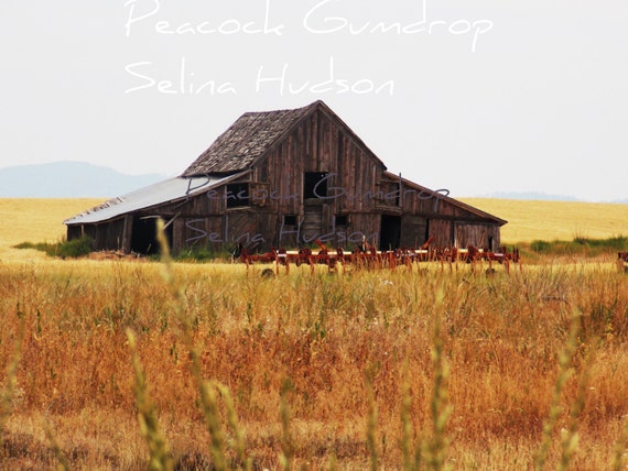 Old Barn with a field of wheat photo - 8 x 10 frame Print Art Photography yellow brown