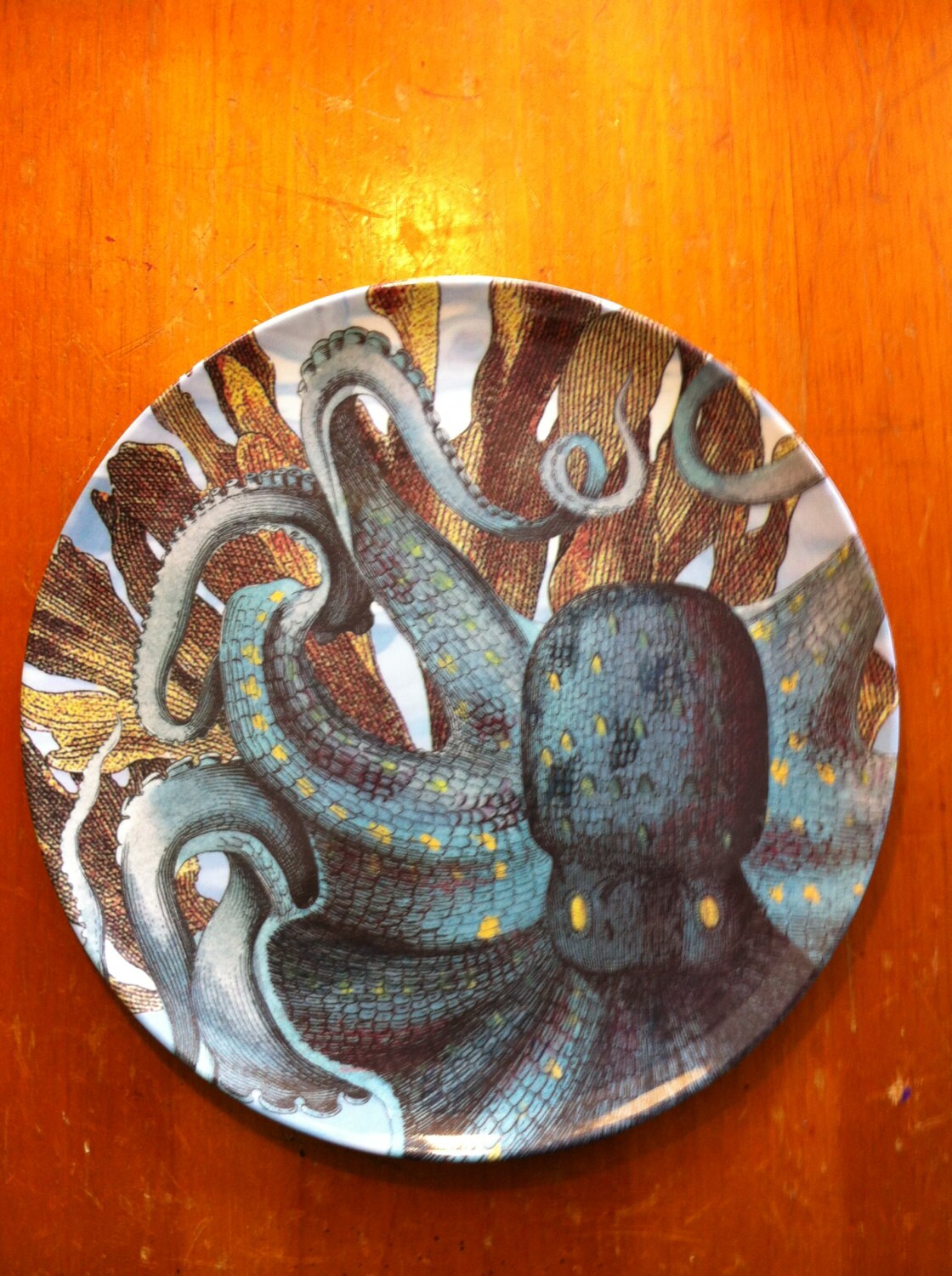 Blue Octopus Melamine Dinner Plate / Outdoor by InquisitiveDesigns
