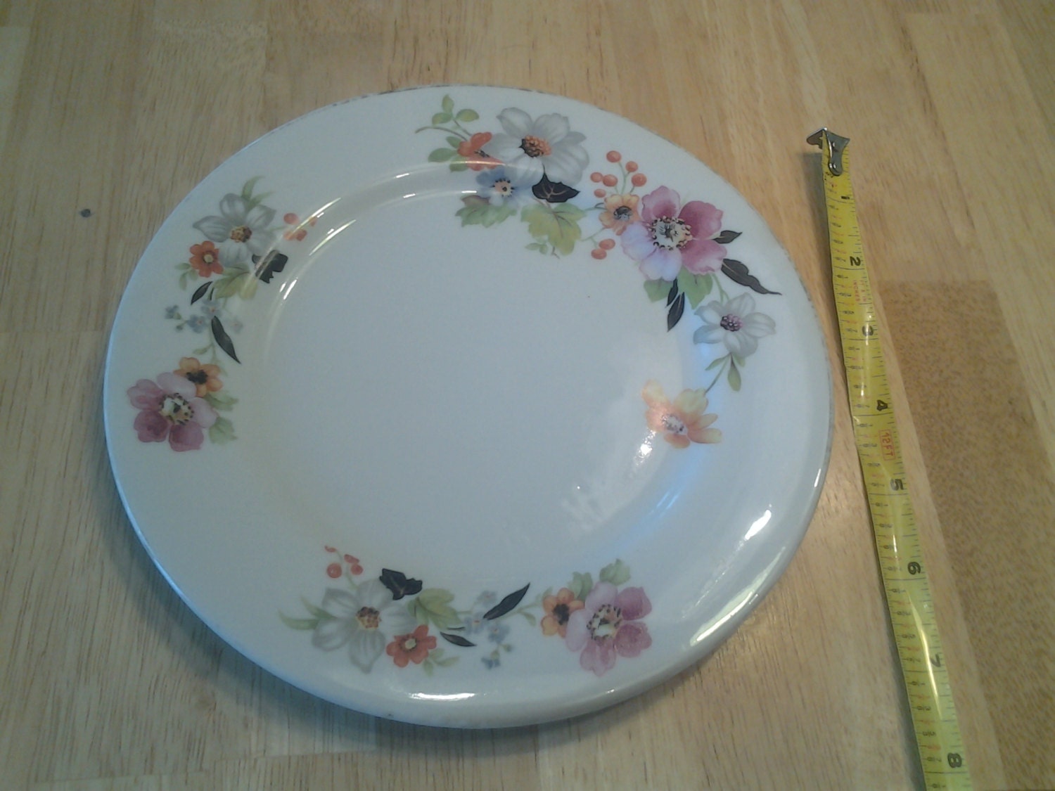 Princess China Plate Made in the USA 7 inch Collectible China Haute Juice