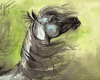 Arabian horse original acrylic painting on paper