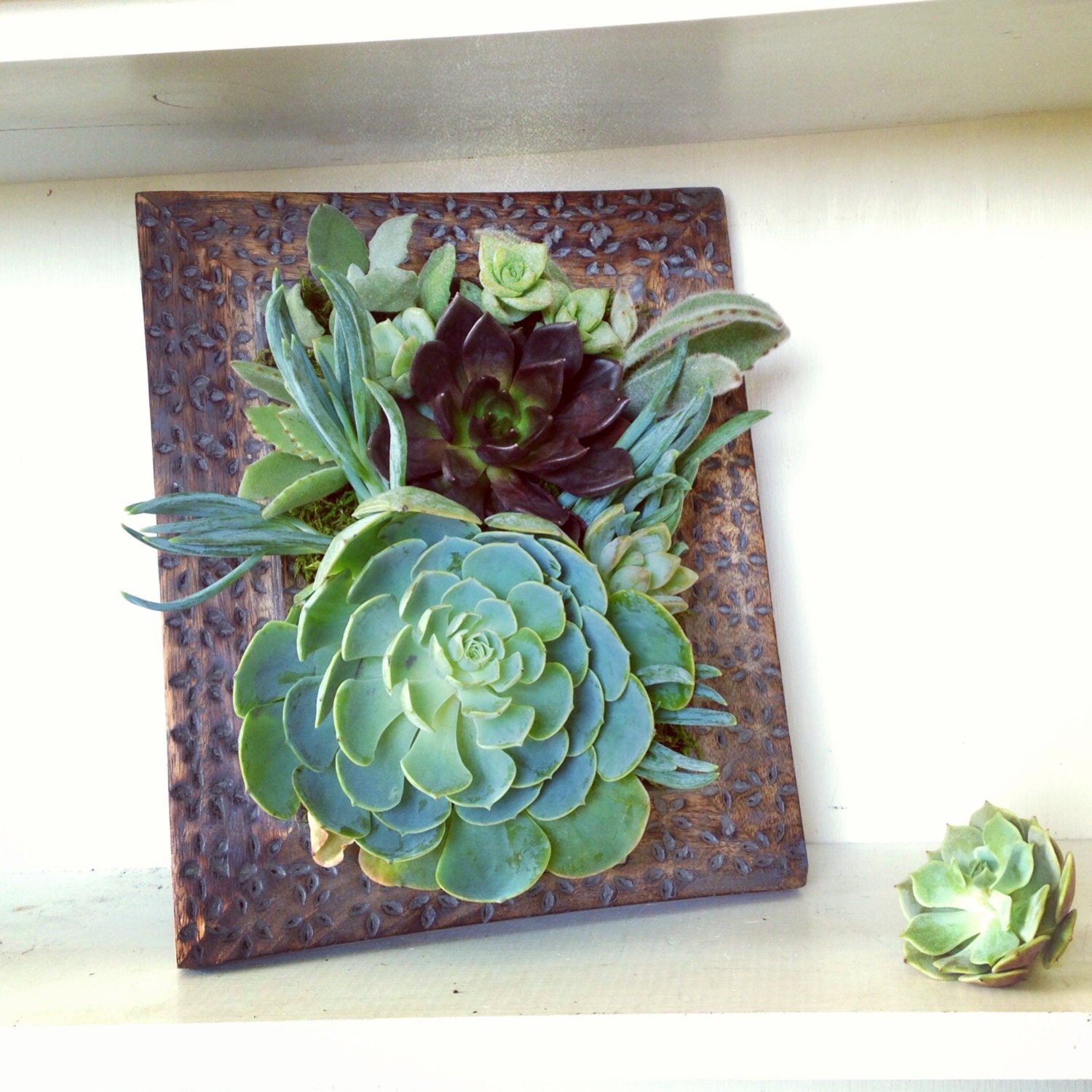 Vertical Succulent Planter Garden