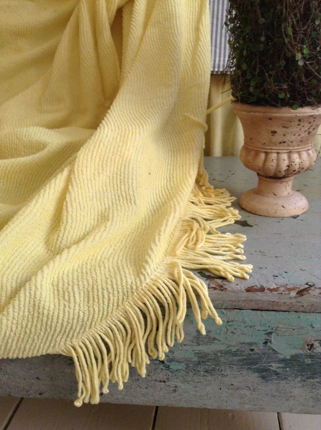 Soft yellow vintage chenille bedspread with original long