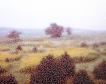 Landscape Photography, raindrops, mist, water droplets, window screen, amber, pale yellow, soft blue, lavender, dreamy landscape, Home Decor