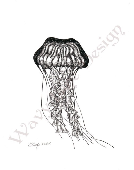 Items similar to Floating Jellyfish an Original 8x10 pen and ink