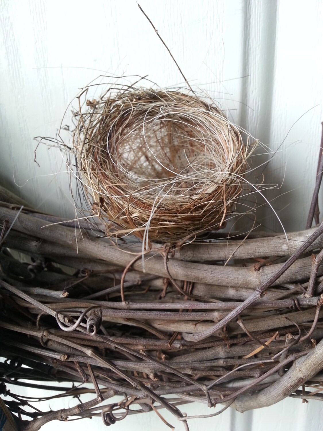 Horse hair bird nest by BallyhooFarm on Etsy