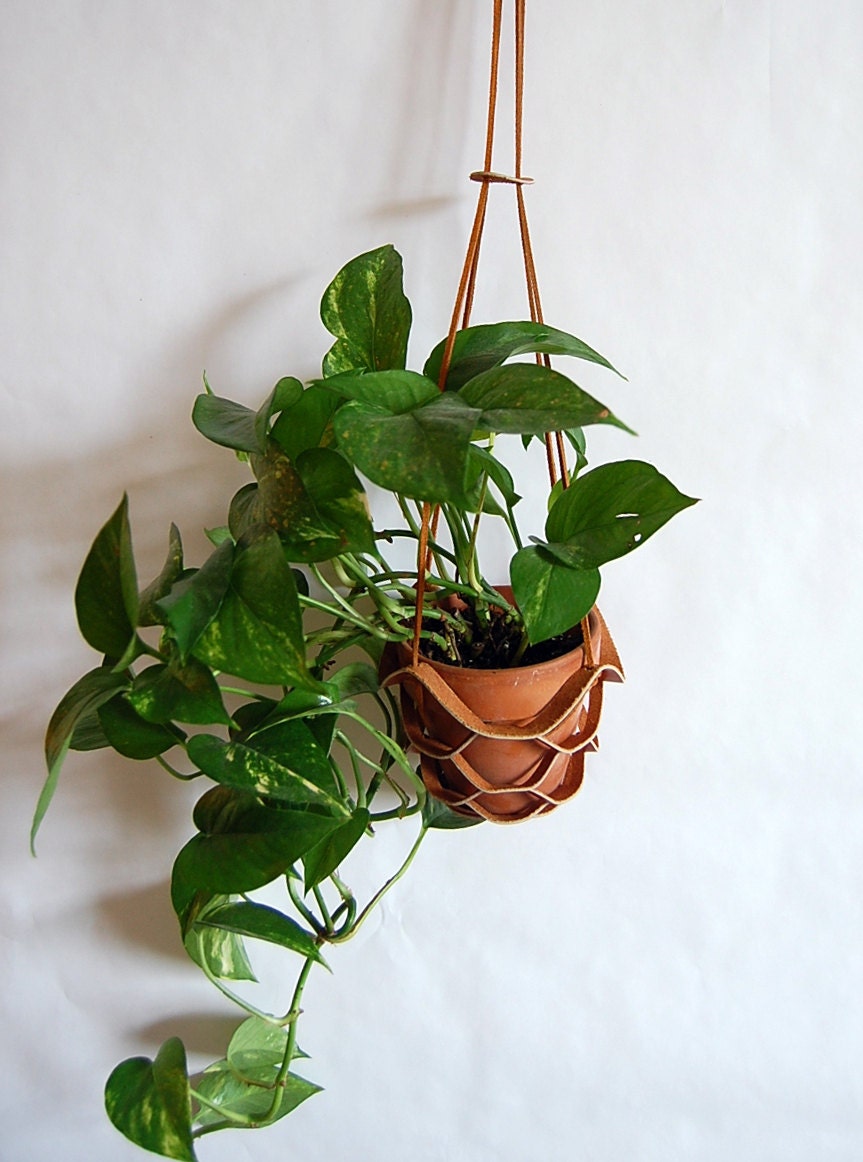 plant holder hanging