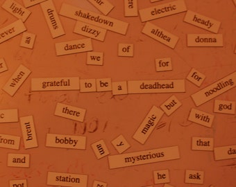 Grateful Dead Magnetic Poetry