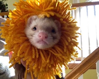 Popular items for Ferret clothes on Etsy