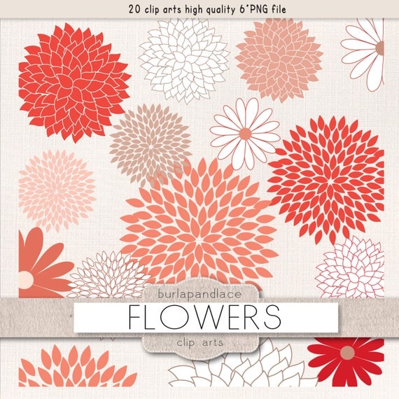 clip art dahlia flowers - photo #36