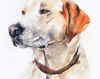 custom pet portrait, original watercolour painting, dog or cat painting, affordable, unique gift/present.