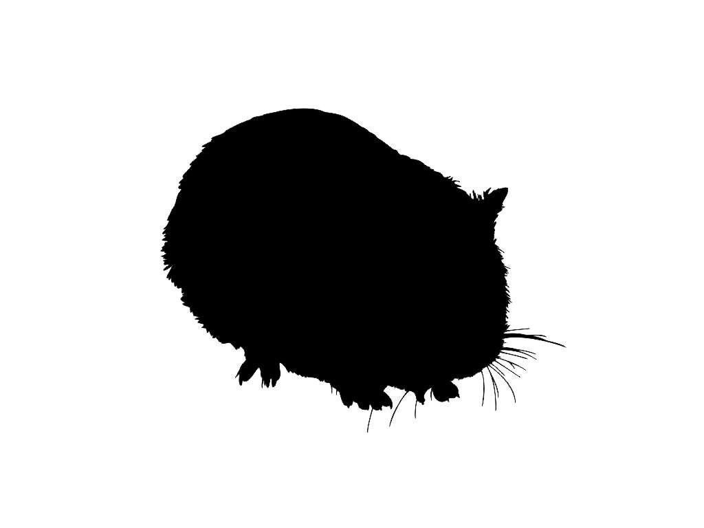 Download Guinea Pig Silhouette Custom Die Cut Vinyl Decal Sticker