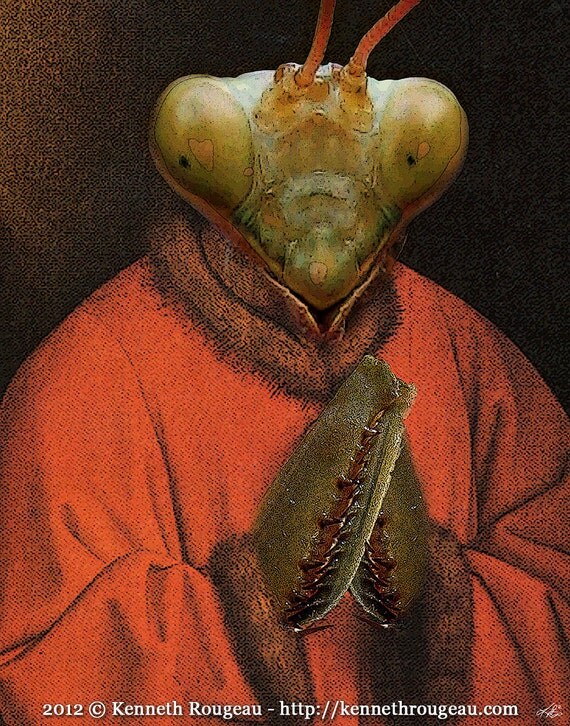 Praying Mantis Bizarre & Surreal Digital Collage by artfamilia