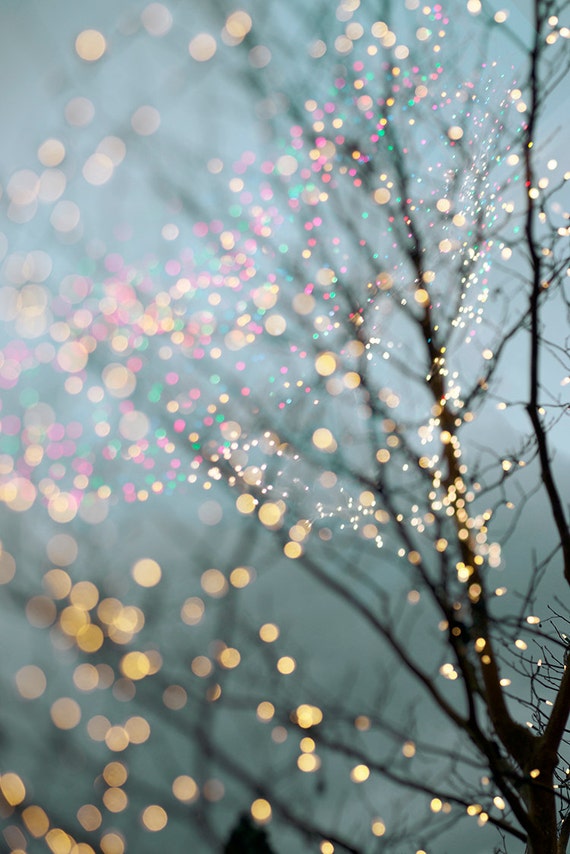 Winter Photography Holiday Fairy Lights in Trees Festive