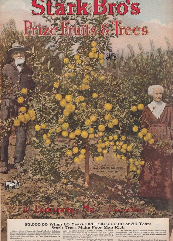 1923 Prize Fruits & Trees Catalog Stark Brothers Nurseries