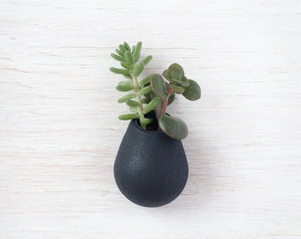 Wearable Planter No. 6, Lapel Pin, in Black
