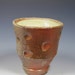 Allison's teabowl with seashell impressions