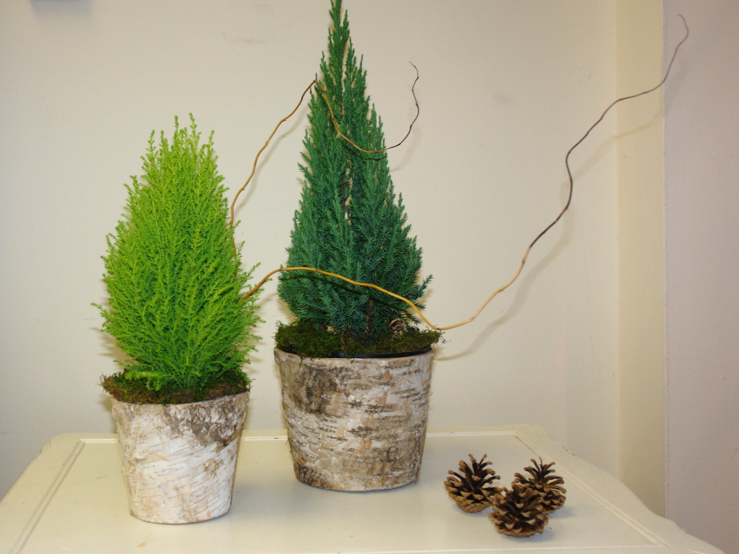 birch bark vases christmas tree centerpieces decor by birch bark vases christmas tree centerpieces decor by