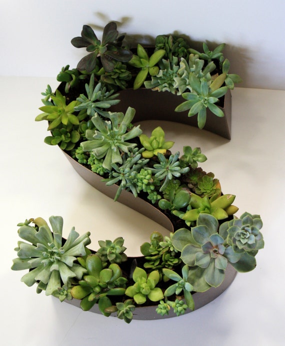 Monogram Planter | items similar to custom made monogram succulent planter Monogram Planter | items similar to custom made monogram succulent planter