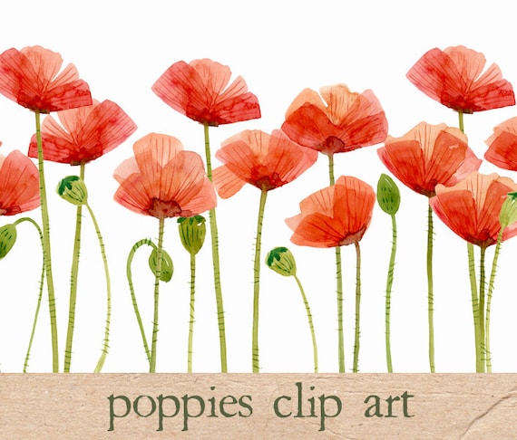 free poppy flower clip art - photo #34