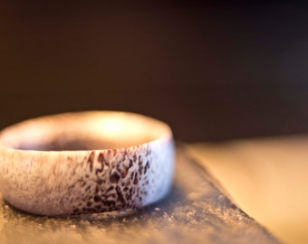 Handmade Midwest Whitetail Deer Antler Ring