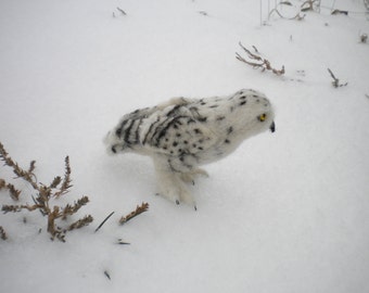 Needle felted Snowy Owl