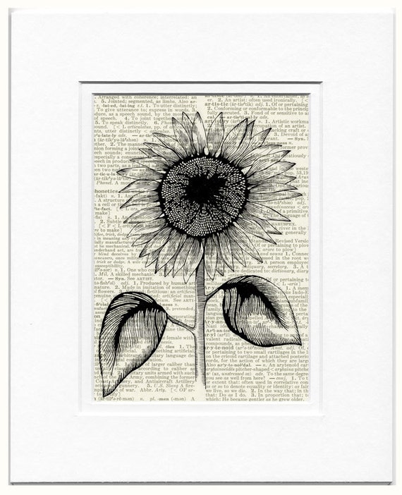 Sunflower Vintage 1950s etched-style sunflower by FauxKiss