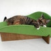 Modern cat bed in avocado cotton damask (MADE TO ORDER)