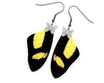 Real Butterfly Wing Earrings (Torquatus Forewing - E193)