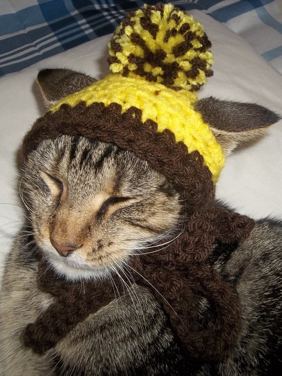 Cat Hat Pet Accessory Pet Hats Pet ClothingSmall Dog Hat