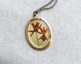 Real Flower Necklace Orange Flowers Botanical Butterfly Weed PrairieResin Jewelry Resin Plant Oval Pendant Nature Inspired Bridal Jewelry