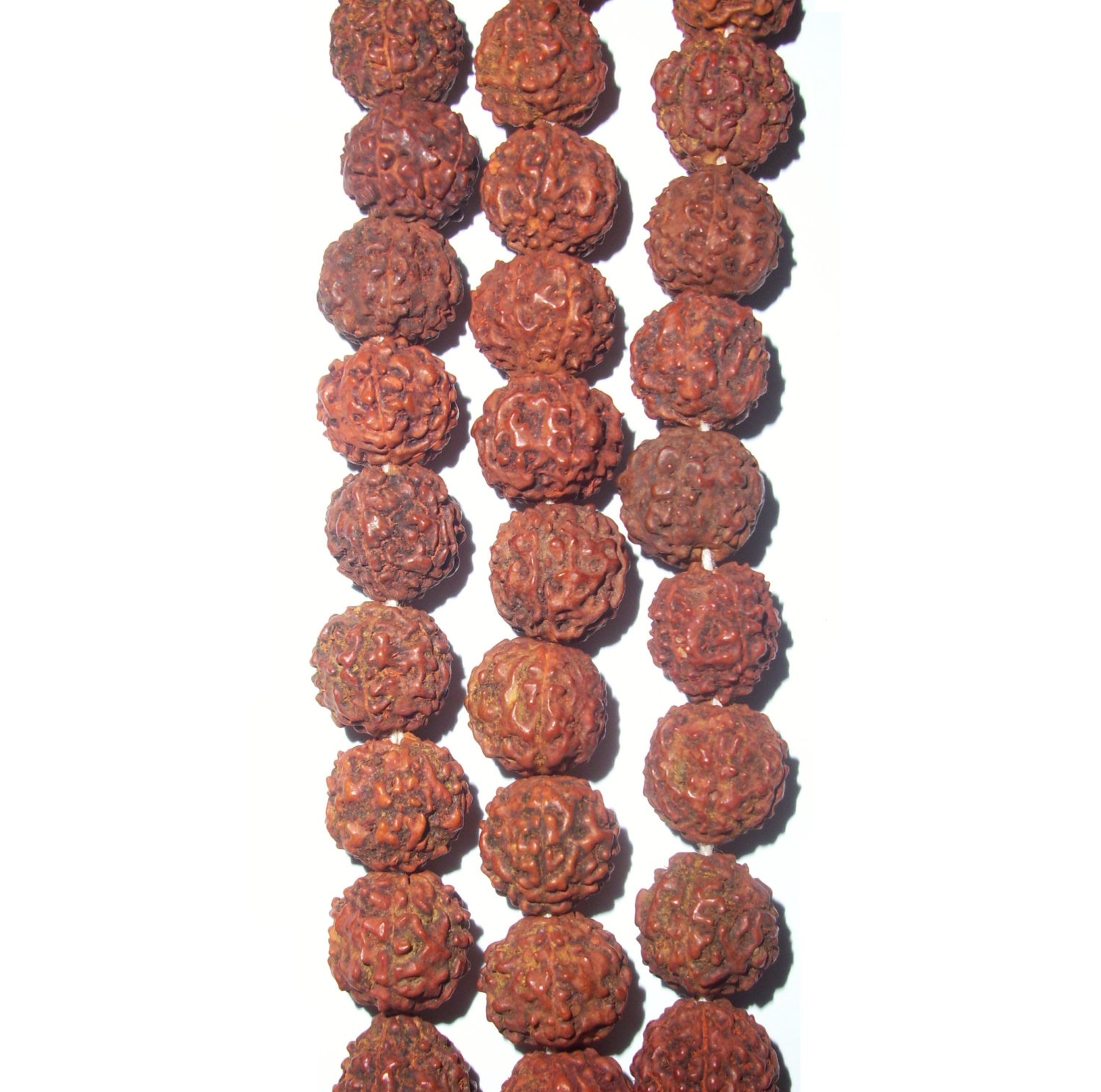Rudraksha Beads Natural 910mm strand of 100 beads by WananBeads