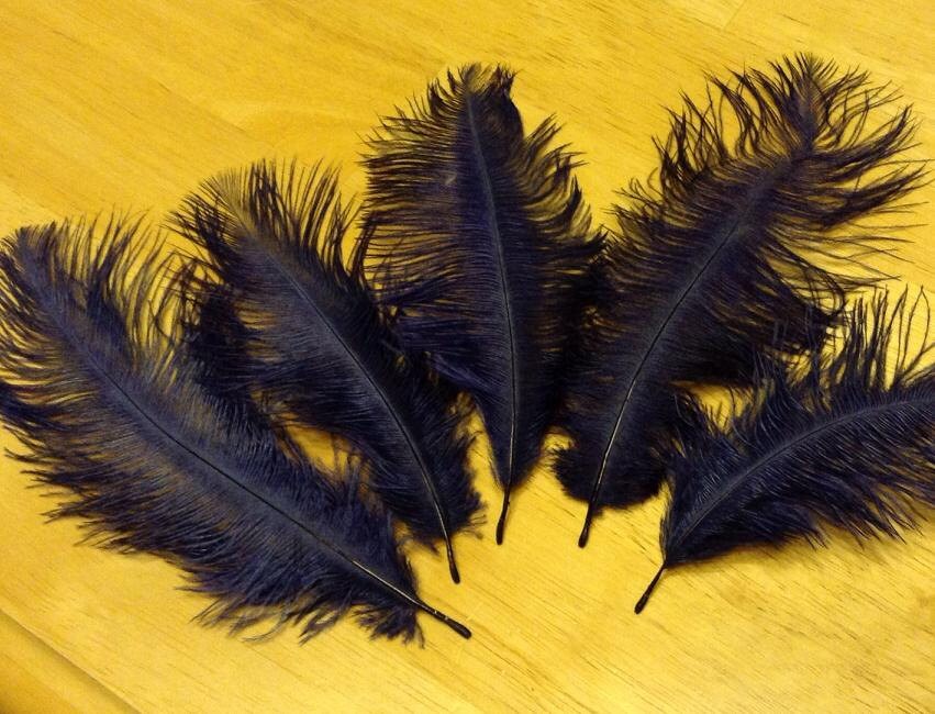 Navy Blue Ostrich Feathers 3 Feathers