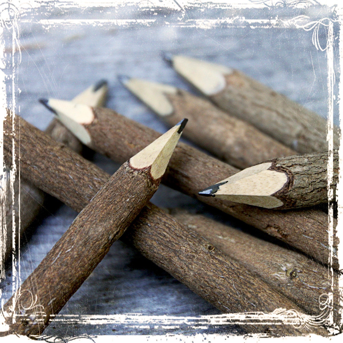 Bulk Twig Pencils Pencil Wedding Party Favor 5 by sparkleandposy