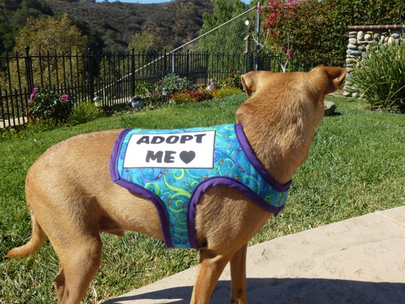 Adopt Me Dog Vest Can also be made with Service Dog