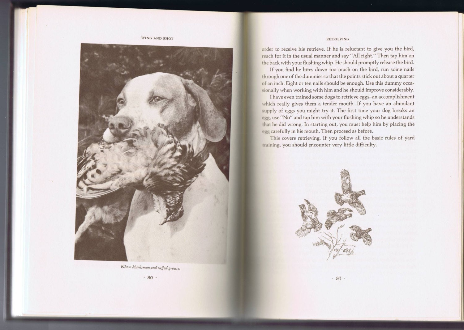 Wing and Shot Gun Dog Training Book by Robert Wehle Bxed Edition 4th Printing 1971 Wing and Shot Gun Dog Training Book by Robert Wehle Bxed Edition 4th Printing 1971