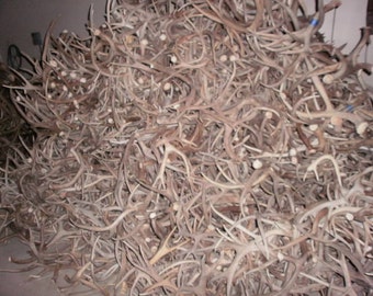10 lbs of natural deer antler-rustic-decor-design-lamps-chandelier-crafts-art-carving