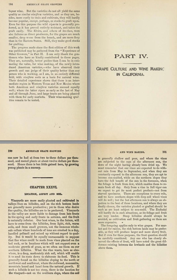How To GROW GRAPES In AMERICA Illustrated Rare Book On The