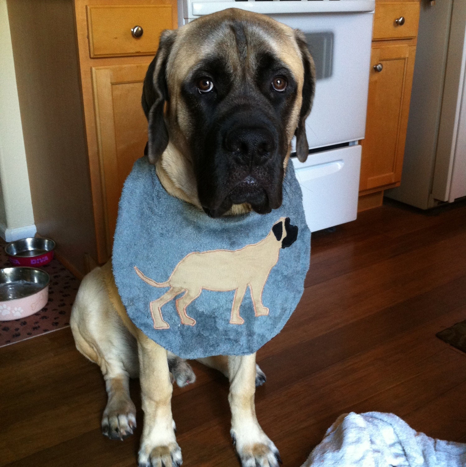 SALE THREE 3 Mastiff Dog Drool Bibs Keep that Coat