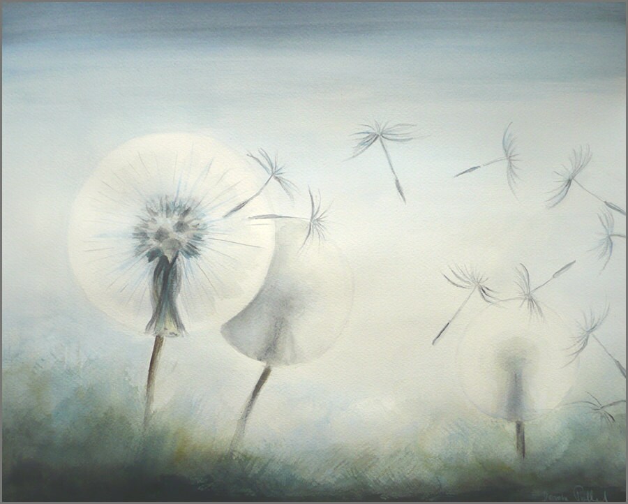 Huge Original Watercolor Painting Dandelion Fluff With