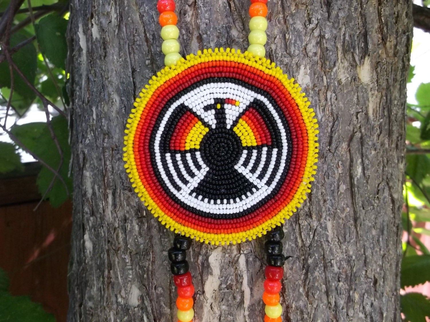 thunderbird in native american culture