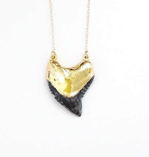 Black Shark Tooth Necklace Real Shark Tooth Gold by PinkTwig
