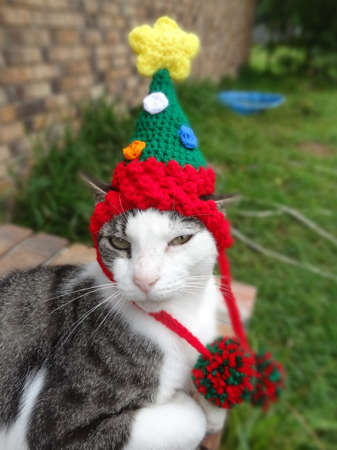 Christmas Cat Hat 