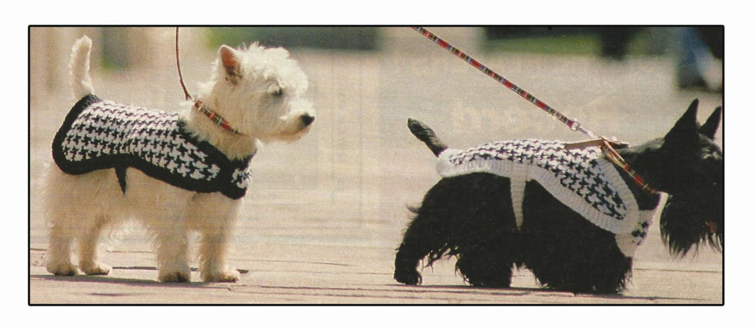 Dog Coat Knitting Pattern for Westie Dog PDF