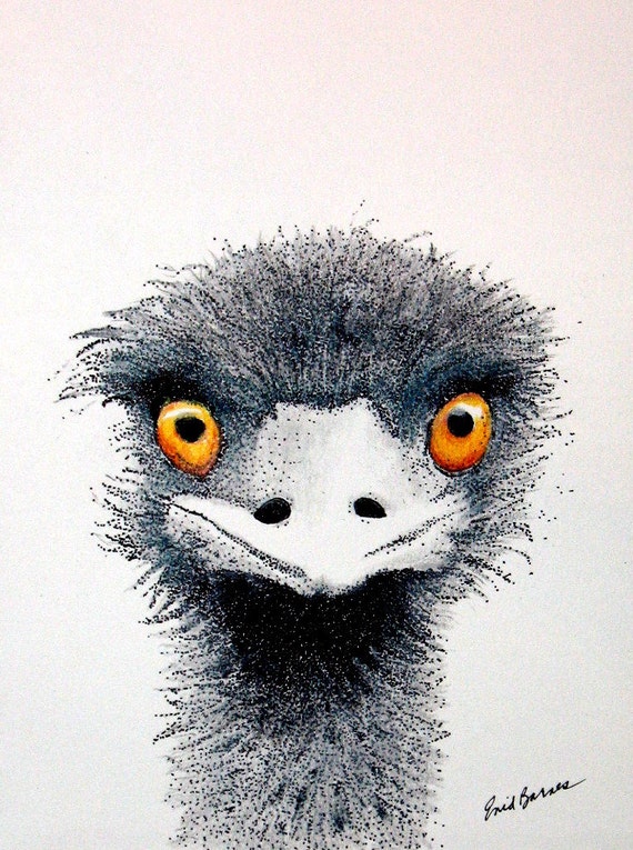 Ostrich Original Pen and Ink and Colored Pencil by