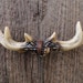 Antler Knob Antler Dresser Pull Drawer Pull Faux