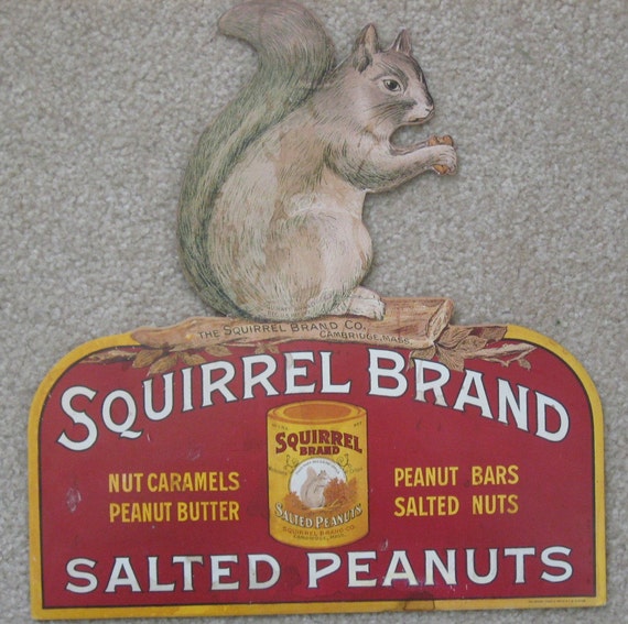 squirrel brand brown butter cashews