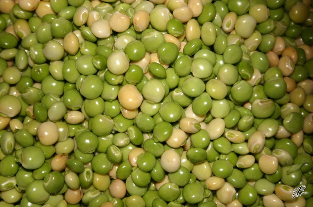 PIGEON PEA Seeds Also known as Gandules Bean by CaribbeanGarden