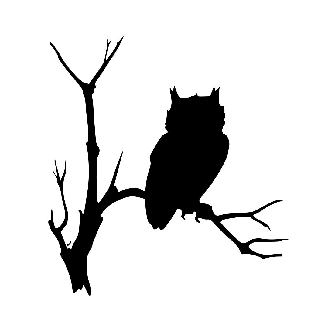 Owl Silhouette Vinyl Graphic Art Decal