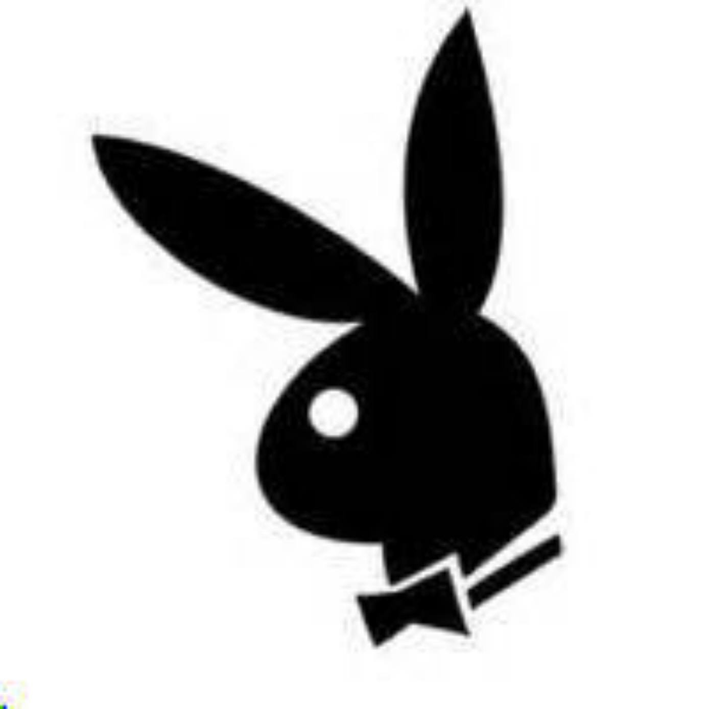 21 playboy bunny decals silhouette drawing by HandmadeitemsbyKaren
