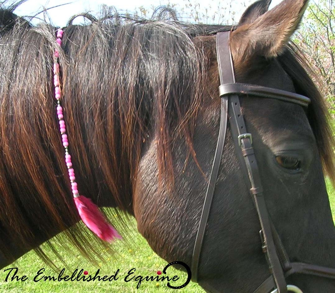 Mane Clip Horse Pink Feathers by TheEmbellishedEquine on Etsy